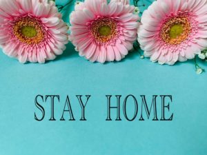 stay_homeの画像